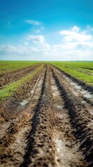 Stunning Rural Landscape Tire Tracks Across a Lush Green Field