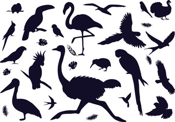 Wildlife bird silhouette vector set on a white background. Avian clipart bundle, nature illustration pack, bird outline graphics, ornithology icons, wildlife vector artwork.