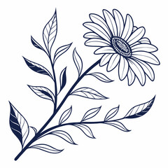 black and white feathers