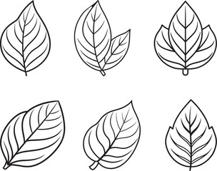 Obraz premium set of leaves line art, black outline, vector and illustration, coloring book page line art drawing