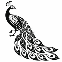 Fototapeta premium Stylized Peacock with Intricate Feather Detail, Black and White Design