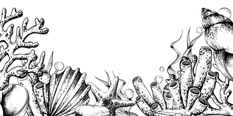 Corals, sea sponges, seaweed, shells, starfish and bubbles. Hand drawn graphic illustration in black and white color line art. Frame template horizontal for text on marine theme