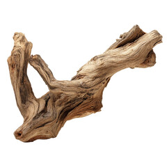 tree trunk isolated