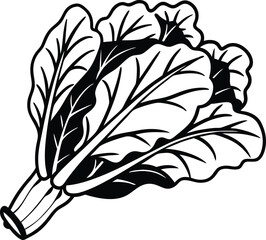 vector illustration of a black feather