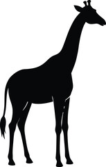 silhouette of a giraffe standing tall on white 