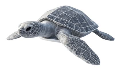 Wireframe Sea Turtle Illustration Digital Artwork Featuring Marine Life with Geometric Pattern