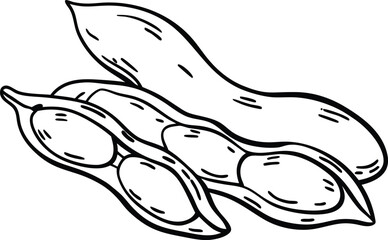 Fototapeta premium hand drawn vector illustration of a fish