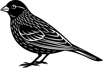 Cute Bird Vector Line Art Illustration – Clipart, Logo Icon, Black and White Bird Drawing