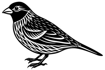 Cute Bird Vector Line Art Illustration – Clipart, Logo Icon, Black and White Bird Drawing