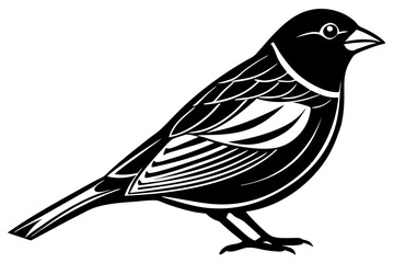 Cute Bird Vector Line Art Illustration – Clipart, Logo Icon, Black and White Bird Drawing