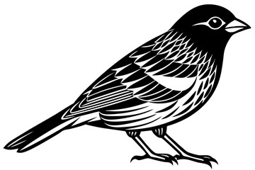 Cute Bird Vector Line Art Illustration – Clipart, Logo Icon, Black and White Bird Drawing