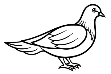Bird Line Art Vector – Minimalist Bird Illustration, Logo Icon, and Clipart on White Background