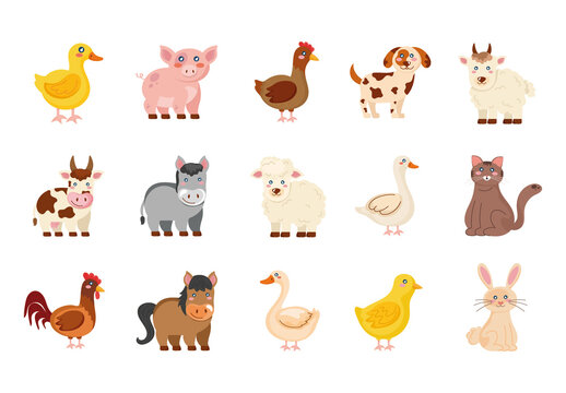 Colorful Cute Domestic Farm Animals Character Illustration Design Set