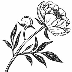 black and white flower
