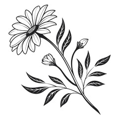 black and white flowers