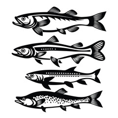 Stylized Black and White Fish Collection, Different Species, Illustration, Isolated