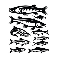 Fish Silhouette Collection Diverse Aquatic Fauna in Bold Black Outlines on White