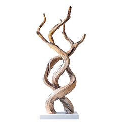 Twisted Leafless Bonsai Tree Sculpture on a Transparent Background