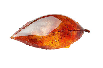 Fototapeta premium Encased autumn leaf art amber resin glowing nature s beauty preserved leaf fall colors shiny surface