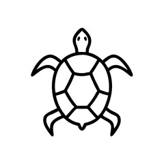turtle top view vector on transparent background for web and graphic design