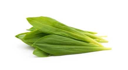 Fresh ramson leaves.