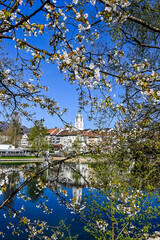 Olten, Aare, Fluss, Stadt, Stadtturm, Holzbrücke, Altstadt, Frühling, Frühlingssonne, Frühlingsblüten, Blüten, Solothurn, Schweiz