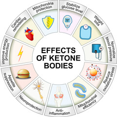 Fototapeta premium Effects of Ketone Bodies and the Ketogenic Diet