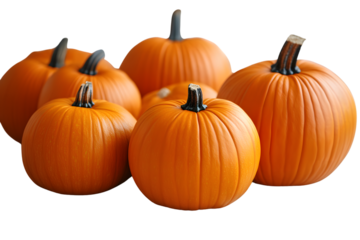 Autumn harvest pumpkins orange gourds fall vegetables thanksgiving halloween decorations