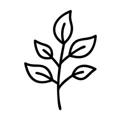 simple leafy plant vector on transparent background for web and graphic design