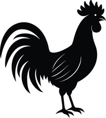 silhouette of a rooster standing tall on white 