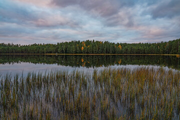 peaceful evening by the forest lake