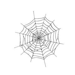 spider web isolated on transparent background, PNG, spider web vector, spider web outline, spider web design, cobweb vector, spider web icon