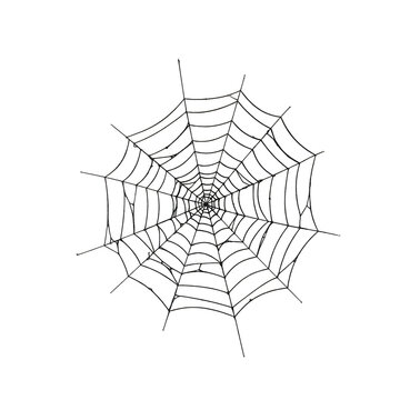 spider web isolated on transparent background, PNG, spider web vector, spider web outline, spider web design, cobweb vector, spider web icon