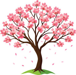 Cherry Blossom Tree Vector