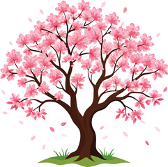 Cherry Blossom Tree Vector