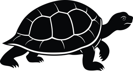 silhouette of a turtle walking slowly on white 