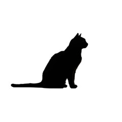 black cat PNG, cat vector isolated on transparent background, black cat shape, cat icon, black cat graphic, feline silhouette, cat clipart, black cat isolated