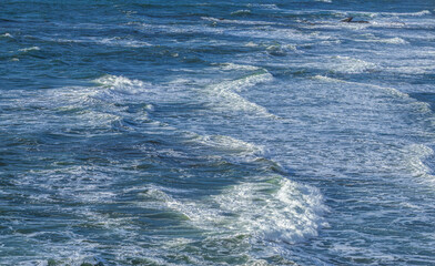 Pacific Ocean - Oregon