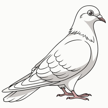 A detailed vector illustration of a white dove, symbolizing peace and purity, ideal for various design projects.