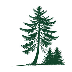 Fototapeta premium Dark green pine tree silhouettes on white background