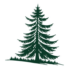 Fototapeta premium Evergreen Pine Tree Silhouette Vector Graphic