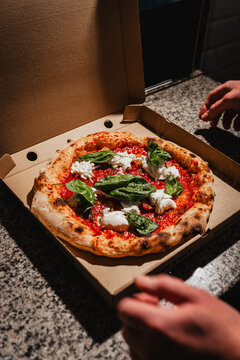 Fresh margherita pizza with basil leaves in a box