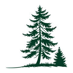Fototapeta premium Dark green pine tree silhouette illustration