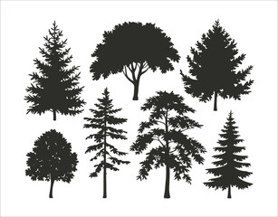 Fototapeta premium Black Ash Tree Illustrations – Silhouette Design