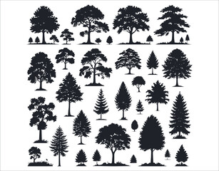 High Detail Ash Tree Silhouettes – Vector Clipart