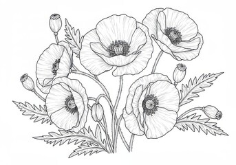 Fototapeta premium A detailed black and white drawing of several poppy flowers with leaves and seed pods scattered around