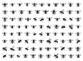 Set of collection bee Isolated vector illustration editable