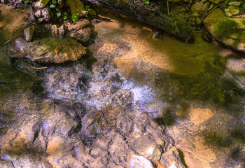 autumn hike to the sources of a mountain river along the riverbed and canyon through difficult wilderness areas