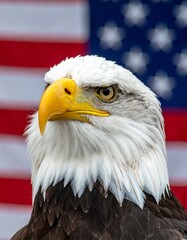 Naklejka premium Beautiful isolated American bald eagle with an American flag background