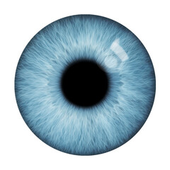 BLUE EYE COLORS Blue green hazel brown yellow grey full iris and pupil with reflection realistic realistic retina and cornea